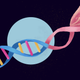 Illustration for article titled You Are Scientifically Destined To Love Baconem/em